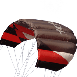 Sting 4 line Power Kite